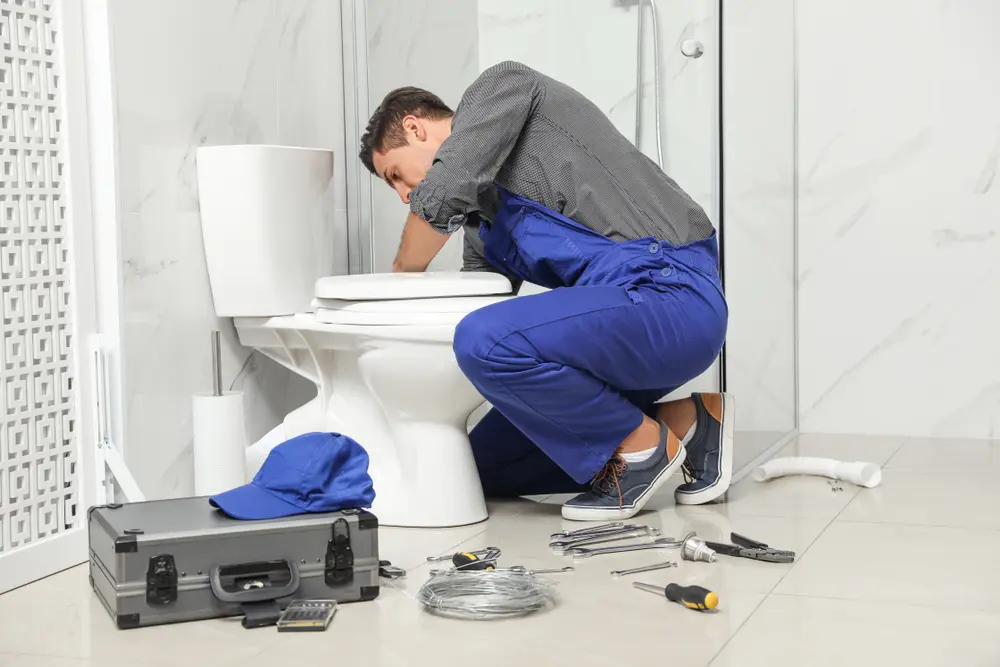 Toilet Repair in Santel